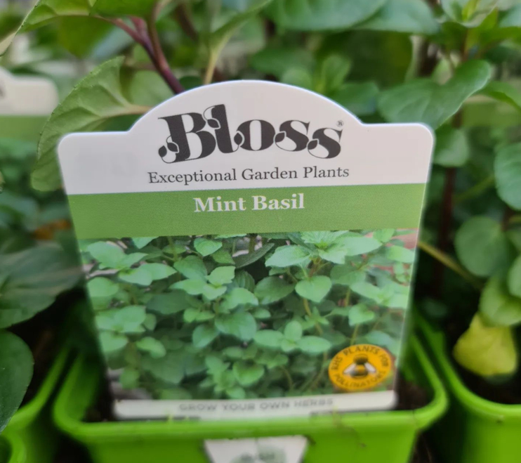 Order fresh herbs online | Ahern Nurseries & Plant Centre