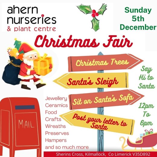 Ahern Christmas Extravaganza: visit our Christmas market