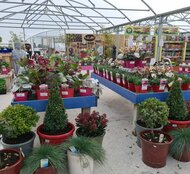 Ahern Nurseries