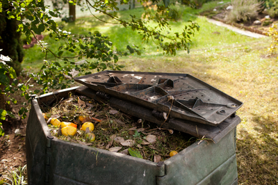 5 sustainable kitchen garden ideas