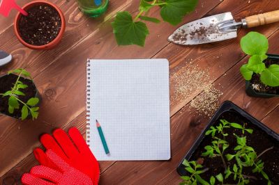 7 New Year’s resolutions for gardeners