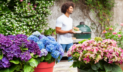 A summerproof garden