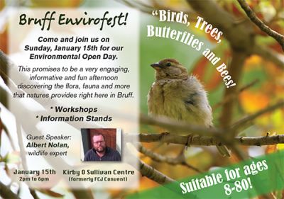 Bruff Envirofest