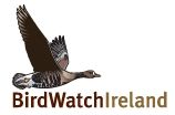 Get your binoculars out – BirdWatch Ireland is live!