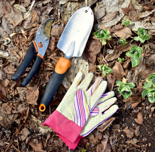 Get your garden ready for spring