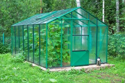 Give the greenhouse a good scrub