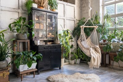 How to Care for Houseplants in Winter