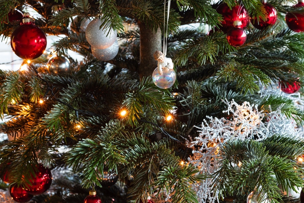 Keeping your christmas tree fresh longer