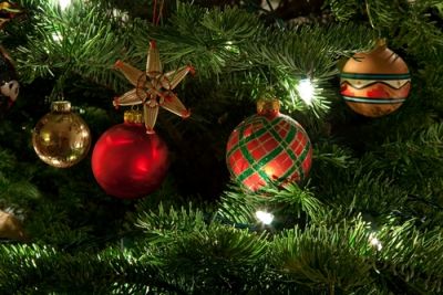 Ireland’s Christmas tree growers have launched their ‘Love a Real Tree’ campaign