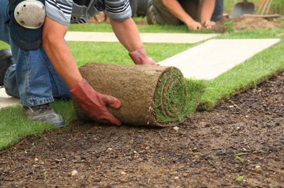 It’s the perfect time to lay new lawns right now