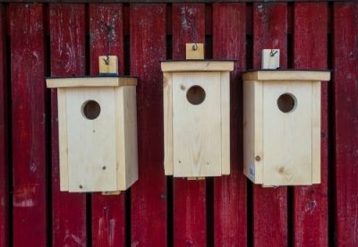 Make birdhouses