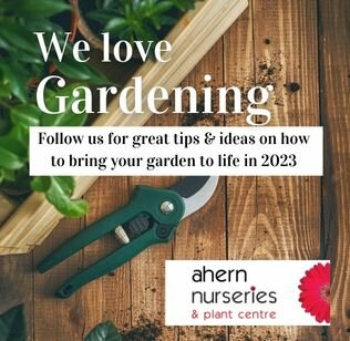 New year's garden trends