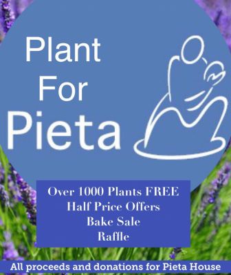 Plant for Pieta