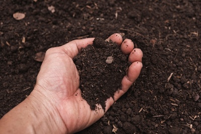 The secret to healthy soil