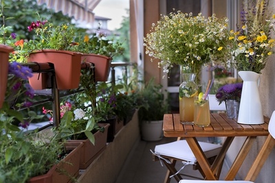 Tips for urban gardening