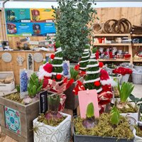 Christmas Trees & Wreaths