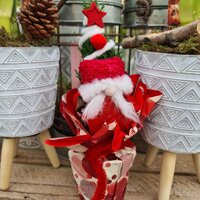 Christmas Trees & Wreaths