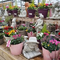 Containers & planters