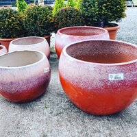Containers & planters | Ahern Nurseries & Plant Centre