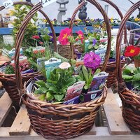 Containers & planters