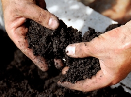 Fertilisers & soil impovers | Ahern Nurseries & Plant Centre
