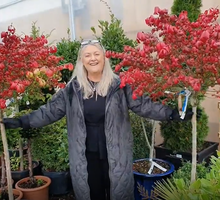 Trees & Shrubs | Ahern Nurseries & Plant Centre in Limerick