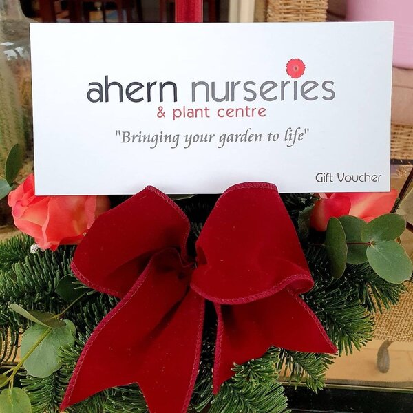 Gift Voucher | Ahern Nurseries & Plant Centre