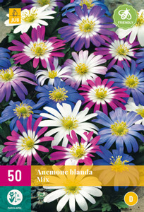 Anemone Bland Mix 50 Corms
