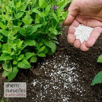 Fertiliser & Pest Control
